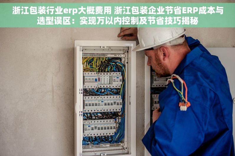 浙江包装行业erp大概费用 浙江包装企业节省ERP成本与选型误区：实现万以内控制及节省技巧揭秘