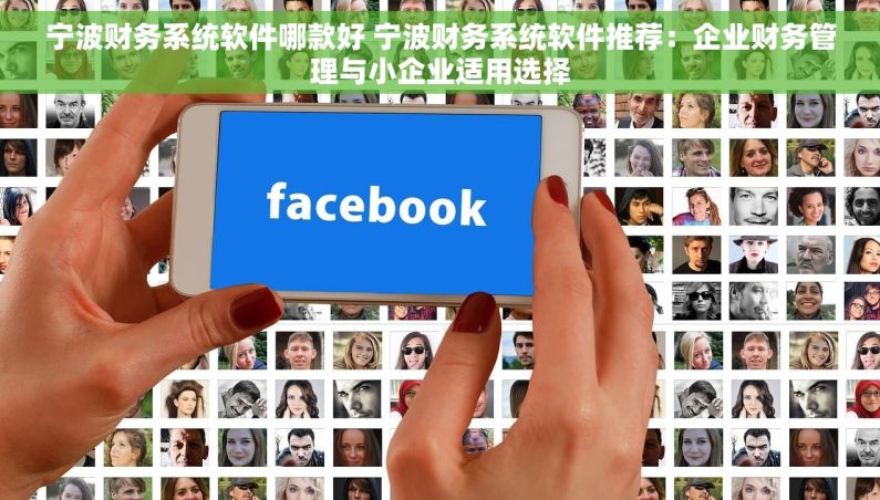 宁波财务系统软件哪款好 宁波财务系统软件推荐：企业财务管理与小企业适用选择