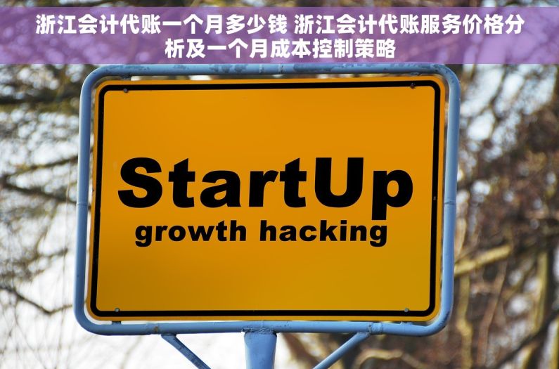 浙江会计代账一个月多少钱 浙江会计代账服务价格分析及一个月成本控制策略