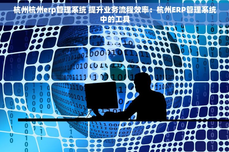 杭州杭州erp管理系统 提升业务流程效率：杭州ERP管理系统中的工具