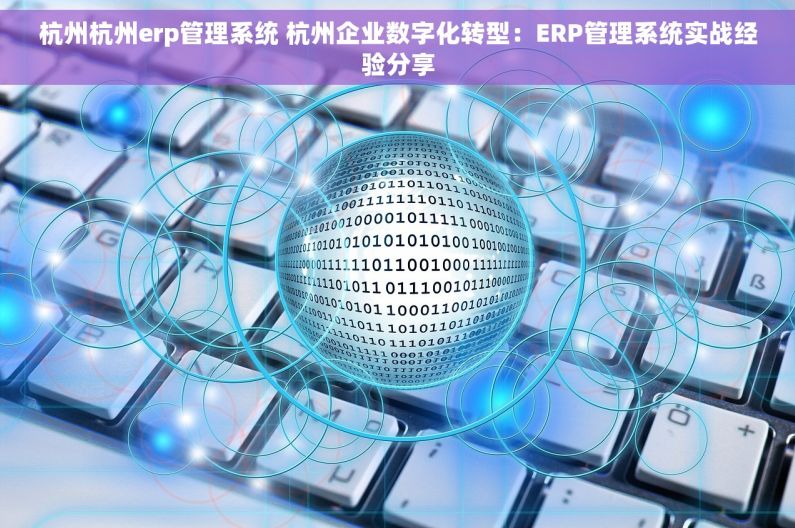 杭州杭州erp管理系统 杭州企业数字化转型：ERP管理系统实战经验分享