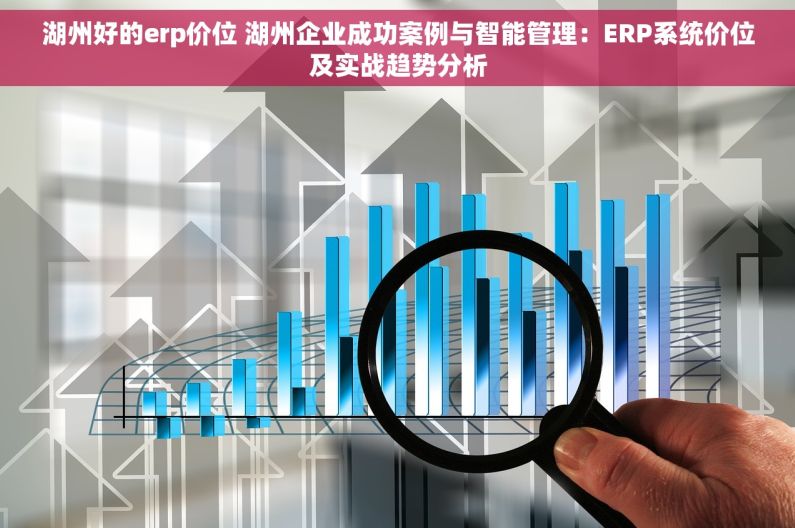 湖州好的erp价位 湖州企业成功案例与智能管理：ERP系统价位及实战趋势分析