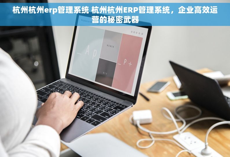 杭州杭州erp管理系统 杭州杭州ERP管理系统，企业高效运营的秘密武器