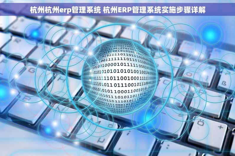 杭州杭州erp管理系统 杭州ERP管理系统实施步骤详解
