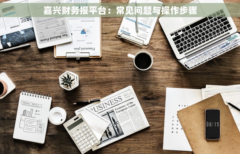 嘉兴财务报平台：常见问题与操作步骤