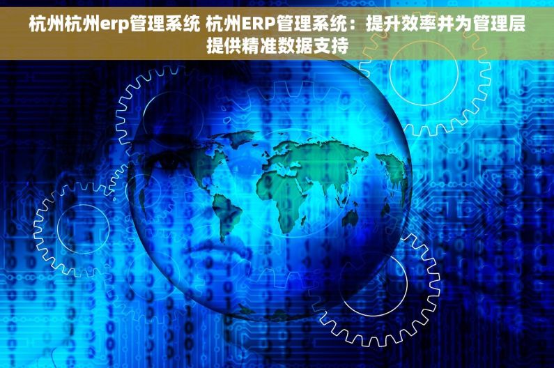 杭州杭州erp管理系统 杭州ERP管理系统：提升效率并为管理层提供精准数据支持