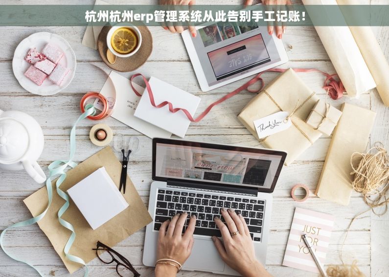 杭州杭州erp管理系统从此告别手工记账！