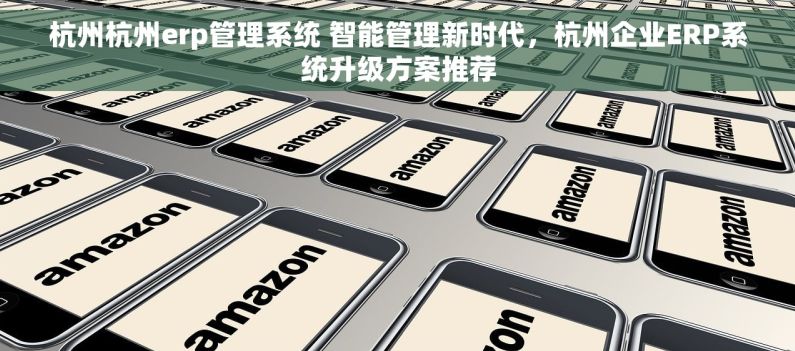 杭州杭州erp管理系统 智能管理新时代，杭州企业ERP系统升级方案推荐