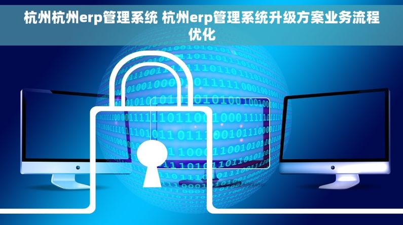 杭州杭州erp管理系统 杭州erp管理系统升级方案业务流程优化