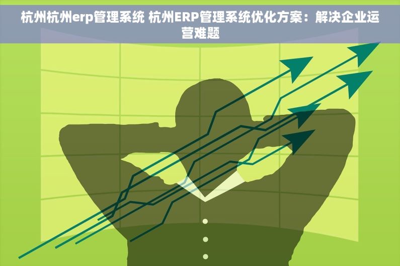 杭州杭州erp管理系统 杭州ERP管理系统优化方案：解决企业运营难题