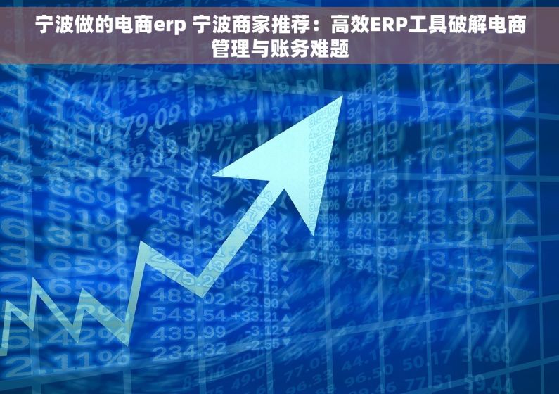 宁波做的电商erp 宁波商家推荐：高效ERP工具破解电商管理与账务难题