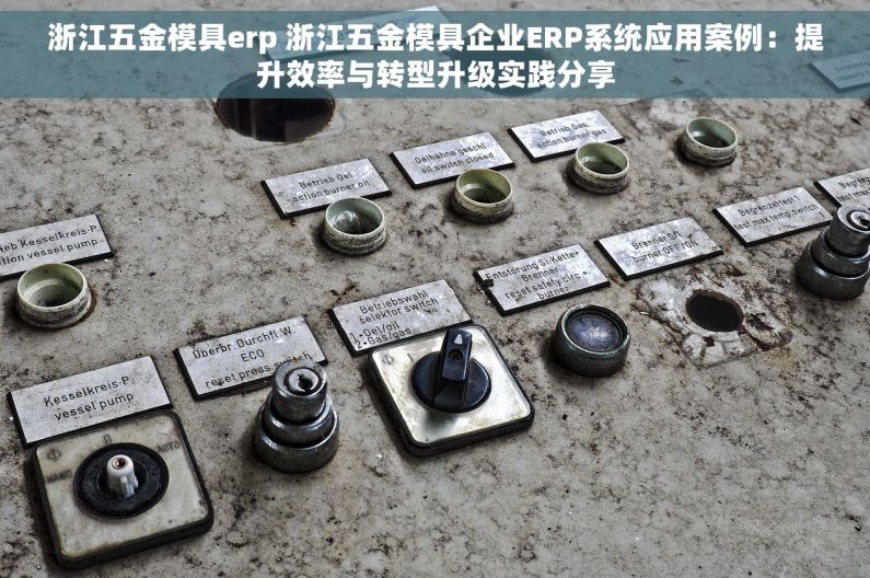 浙江五金模具erp 浙江五金模具企业ERP系统应用案例：提升效率与转型升级实践分享