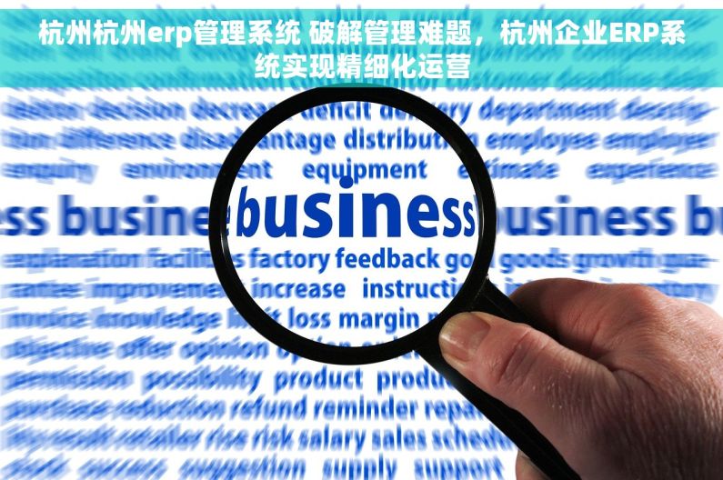 杭州杭州erp管理系统 破解管理难题，杭州企业ERP系统实现精细化运营