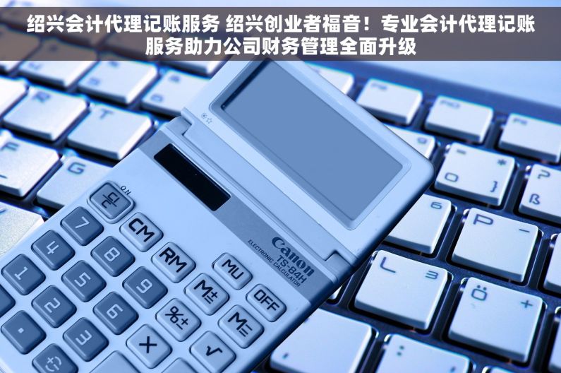 绍兴会计代理记账服务 绍兴创业者福音！专业会计代理记账服务助力公司财务管理全面升级