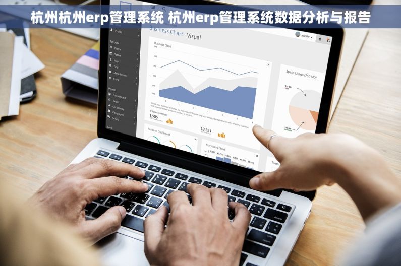 杭州杭州erp管理系统 杭州erp管理系统数据分析与报告