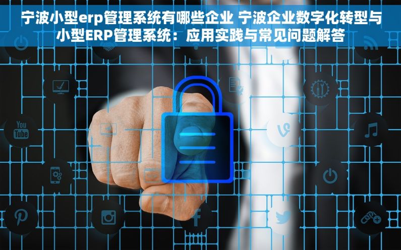 宁波小型erp管理系统有哪些企业 宁波企业数字化转型与小型ERP管理系统：应用实践与常见问题解答