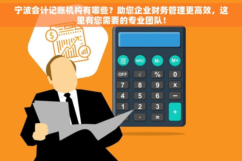宁波会计记账机构有哪些？助您企业财务管理更高效，这里有您需要的专业团队！