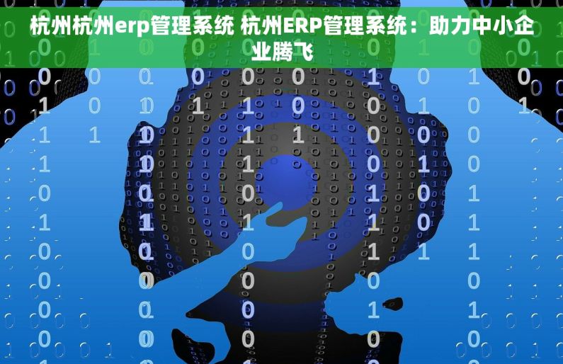 杭州杭州erp管理系统 杭州ERP管理系统：助力中小企业腾飞