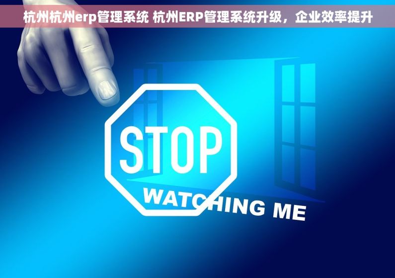 杭州杭州erp管理系统 杭州ERP管理系统升级，企业效率提升