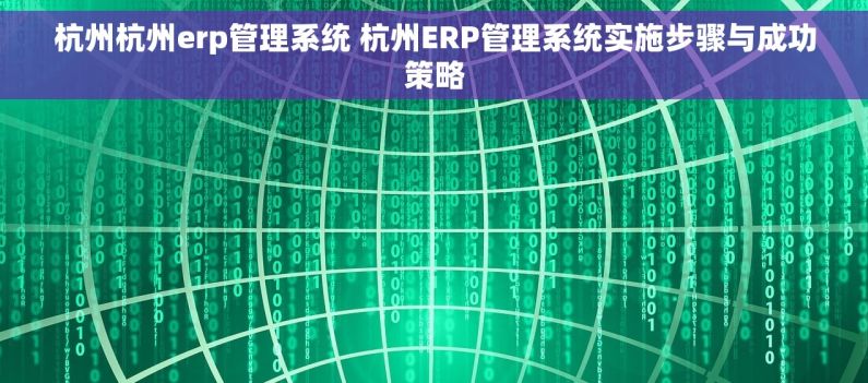 杭州杭州erp管理系统 杭州ERP管理系统实施步骤与成功策略