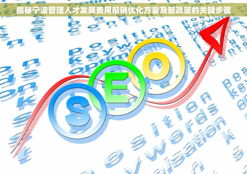 揭秘宁波管理人才发展费用报销优化方案及新政策的关键步骤