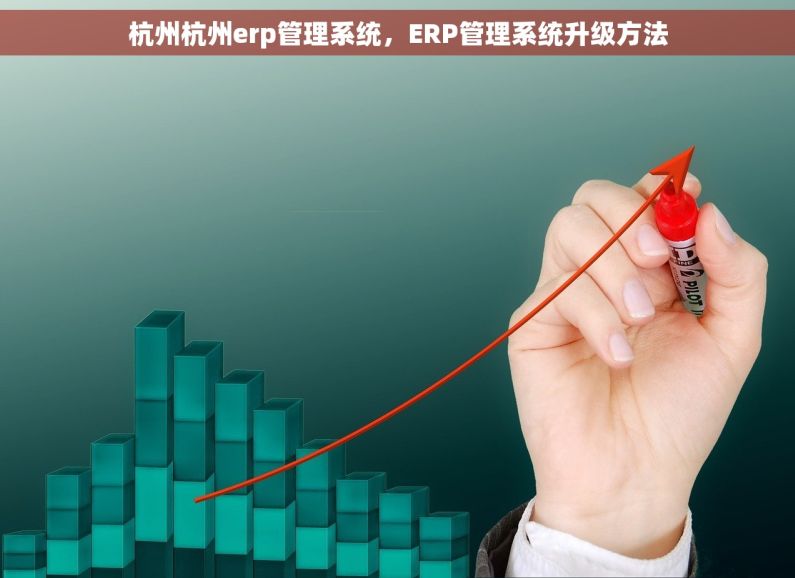 杭州杭州erp管理系统，ERP管理系统升级方法