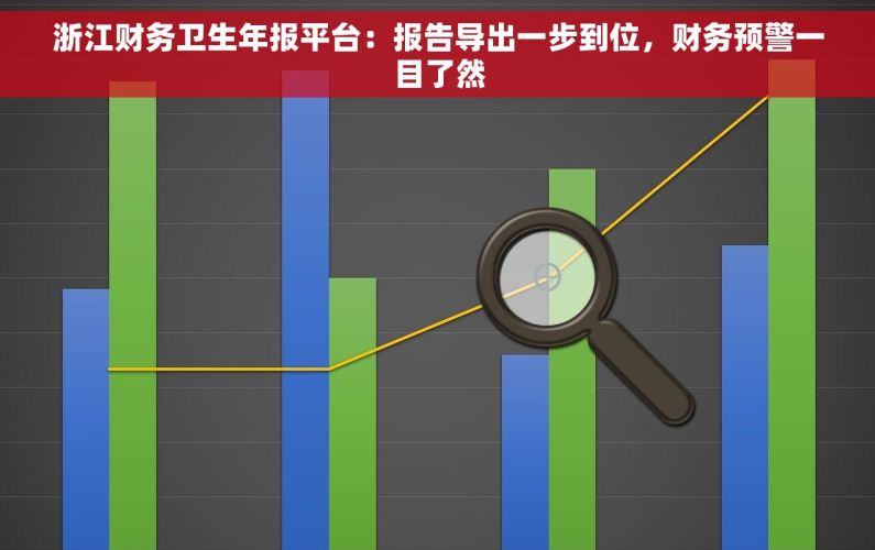 浙江财务卫生年报平台：报告导出一步到位，财务预警一目了然