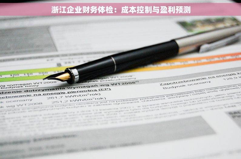浙江企业财务体检：成本控制与盈利预测