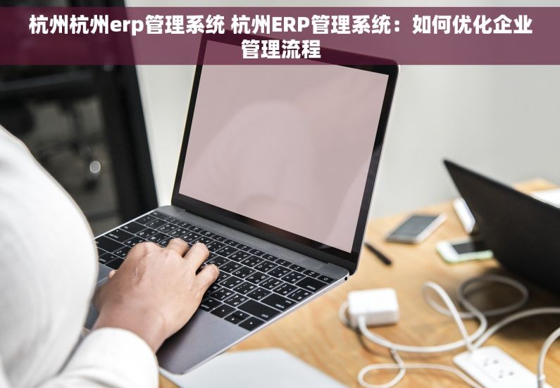 杭州杭州erp管理系统 杭州ERP管理系统：如何优化企业管理流程