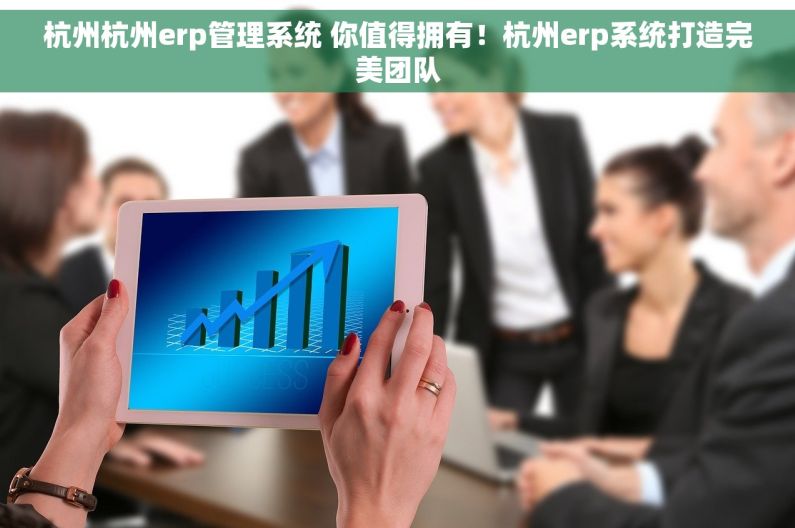 杭州杭州erp管理系统 你值得拥有！杭州erp系统打造完美团队