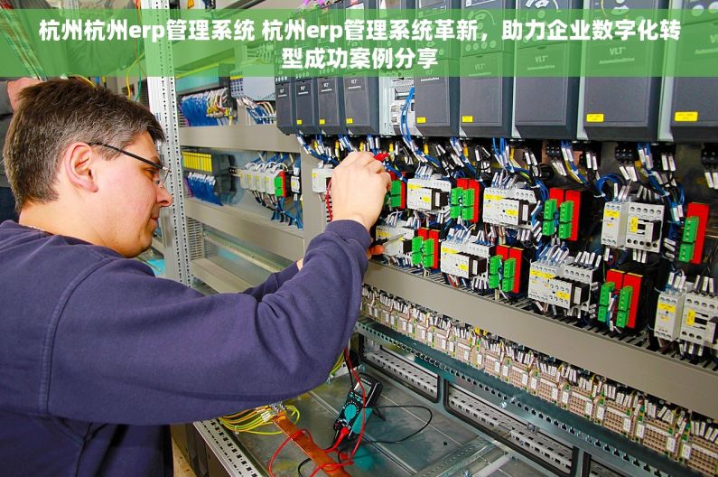 杭州杭州erp管理系统 杭州erp管理系统革新，助力企业数字化转型成功案例分享