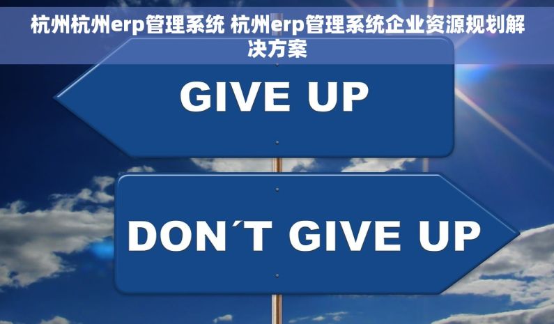 杭州杭州erp管理系统 杭州erp管理系统企业资源规划解决方案