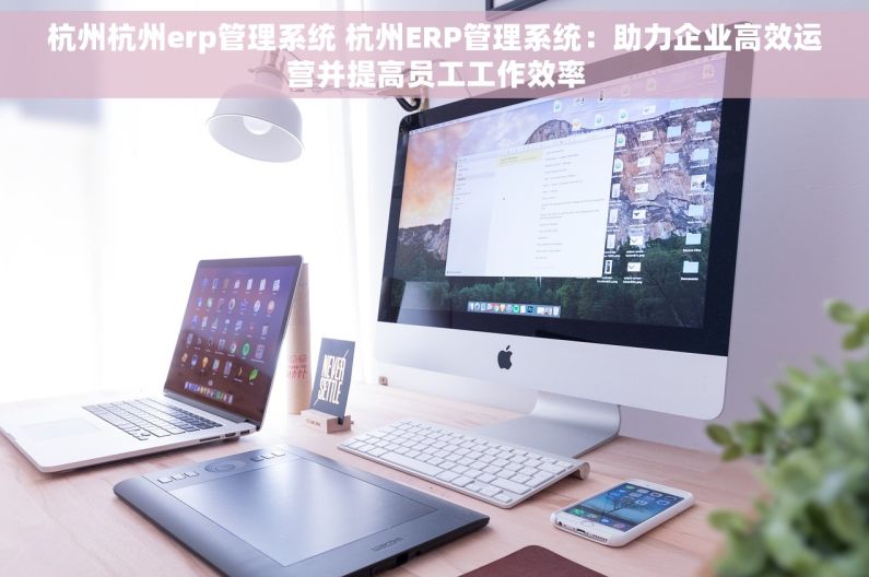 杭州杭州erp管理系统 杭州ERP管理系统：助力企业高效运营并提高员工工作效率