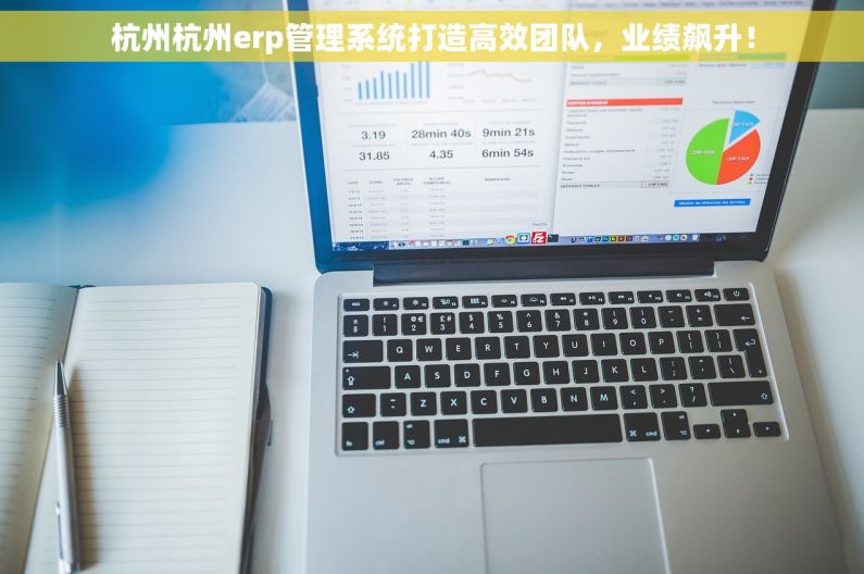 杭州杭州erp管理系统打造高效团队，业绩飙升！