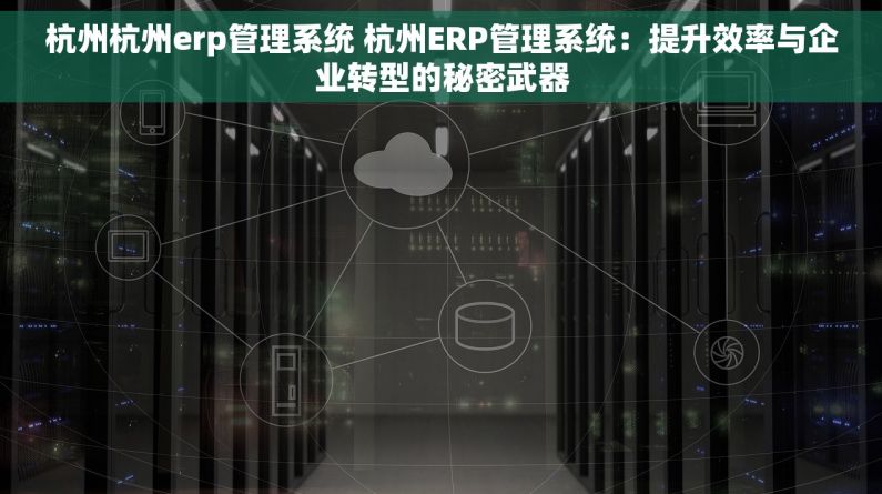 杭州杭州erp管理系统 杭州ERP管理系统：提升效率与企业转型的秘密武器