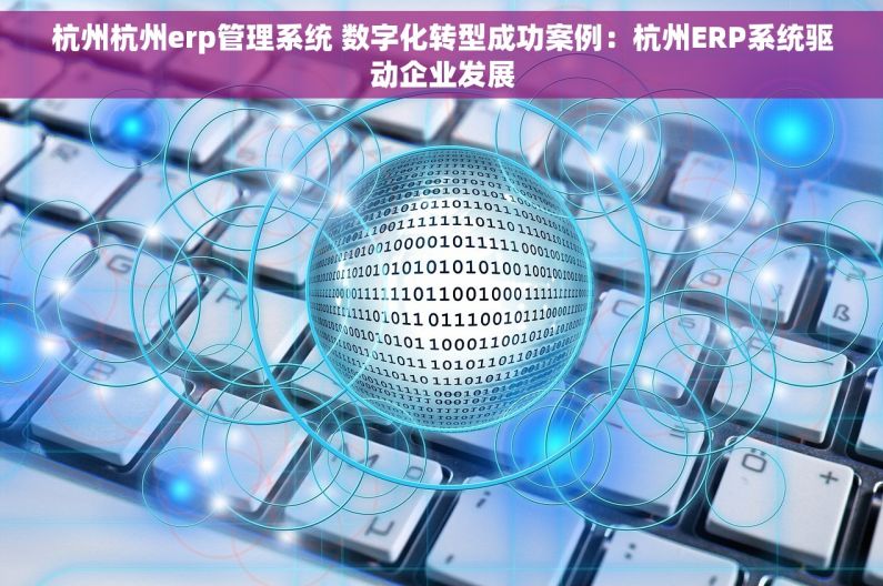 杭州杭州erp管理系统 数字化转型成功案例：杭州ERP系统驱动企业发展