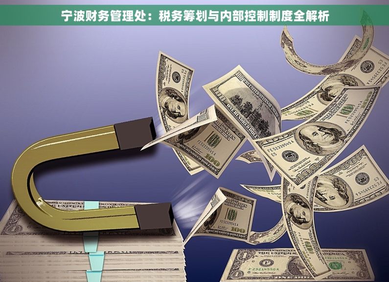 宁波财务管理处：税务筹划与内部控制制度全解析