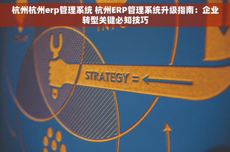 杭州杭州erp管理系统 杭州ERP管理系统升级指南：企业转型关键必知技巧