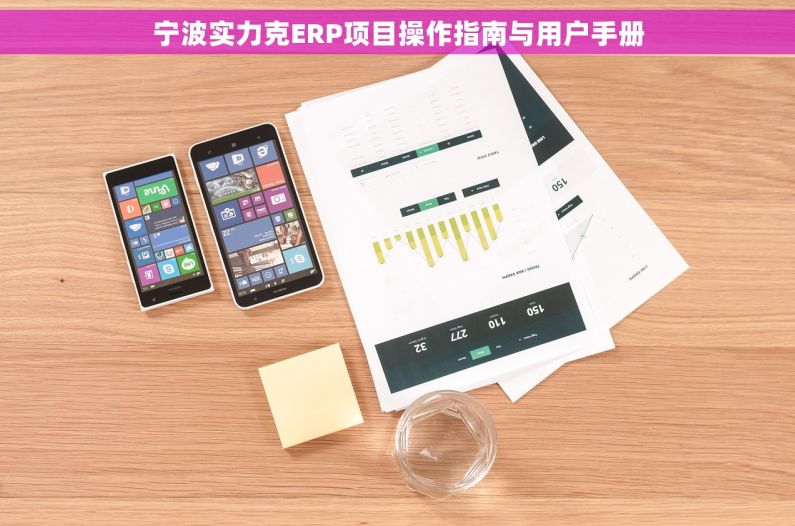 宁波实力克ERP项目操作指南与用户手册