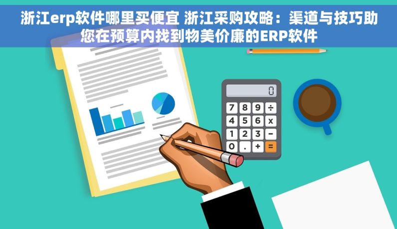 浙江erp软件哪里买便宜 浙江采购攻略：渠道与技巧助您在预算内找到物美价廉的ERP软件