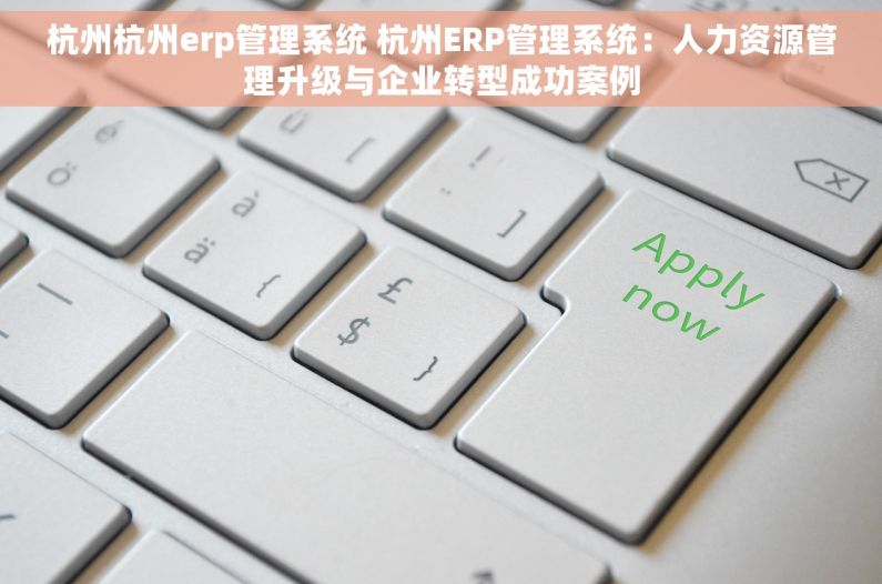 杭州杭州erp管理系统 杭州ERP管理系统：人力资源管理升级与企业转型成功案例