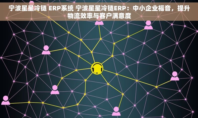 宁波星星冷链 ERP系统 宁波星星冷链ERP：中小企业福音，提升物流效率与客户满意度