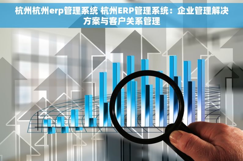 杭州杭州erp管理系统 杭州ERP管理系统：企业管理解决方案与客户关系管理