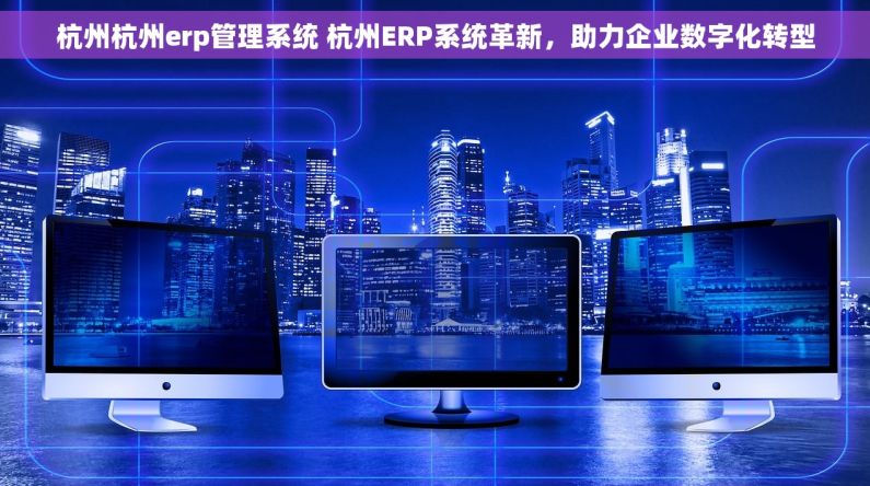 杭州杭州erp管理系统 杭州ERP系统革新，助力企业数字化转型