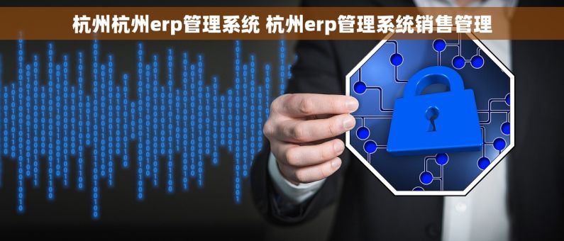 杭州杭州erp管理系统 杭州erp管理系统销售管理
