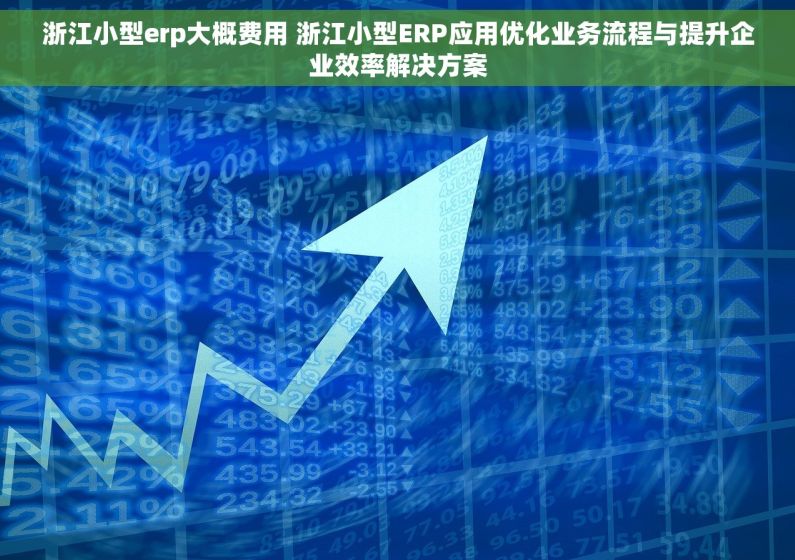 浙江小型erp大概费用 浙江小型ERP应用优化业务流程与提升企业效率解决方案