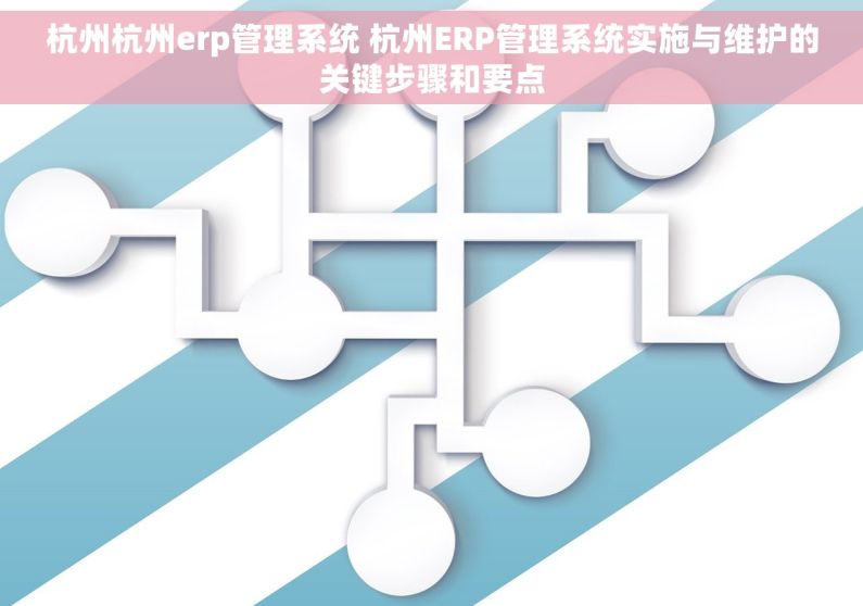 杭州杭州erp管理系统 杭州ERP管理系统实施与维护的关键步骤和要点