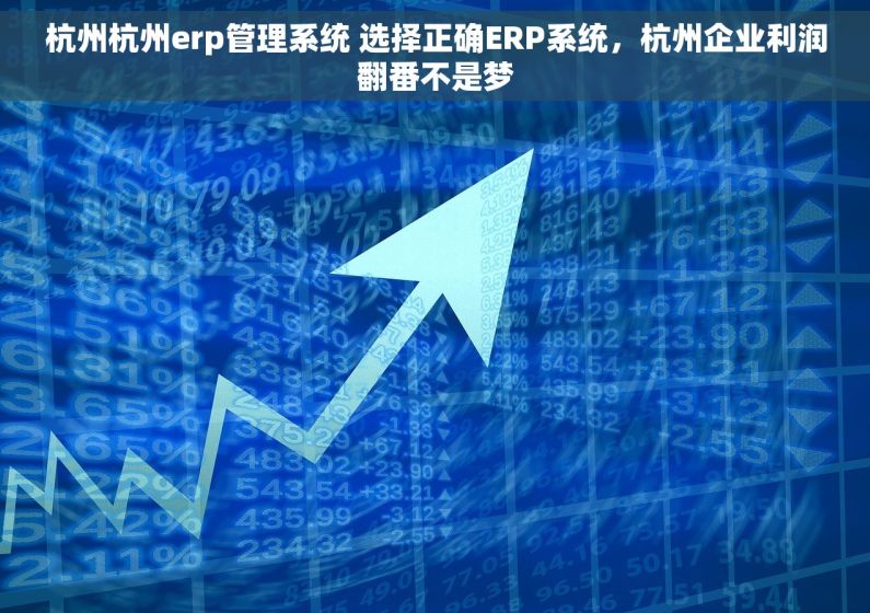 杭州杭州erp管理系统 选择正确ERP系统，杭州企业利润翻番不是梦