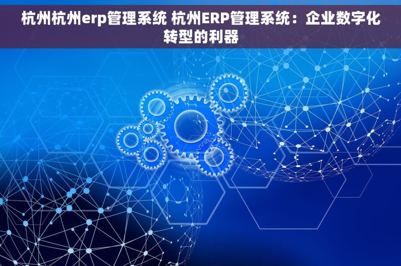 杭州杭州erp管理系统 杭州ERP管理系统：企业数字化转型的利器