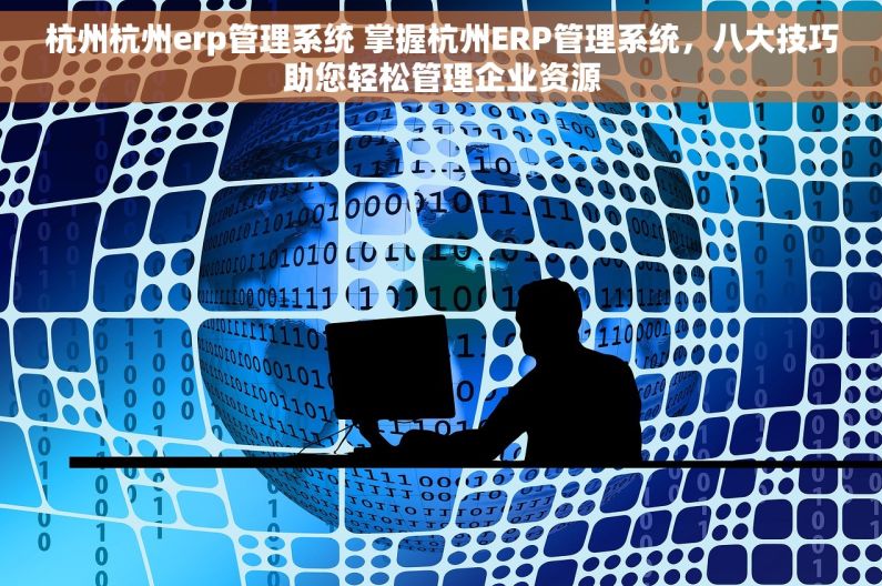 杭州杭州erp管理系统 掌握杭州ERP管理系统，八大技巧助您轻松管理企业资源